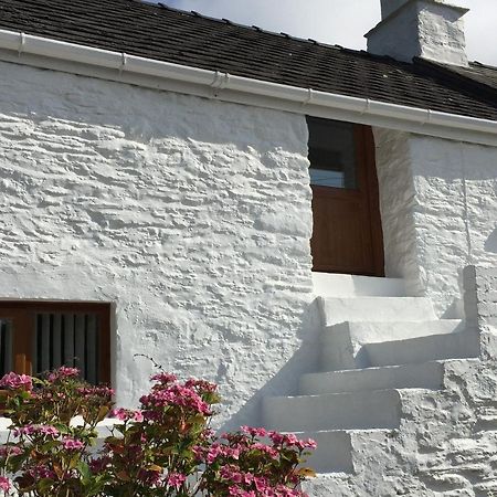 Little Barn Cottage Newport (Pembrokeshire) Exterior foto