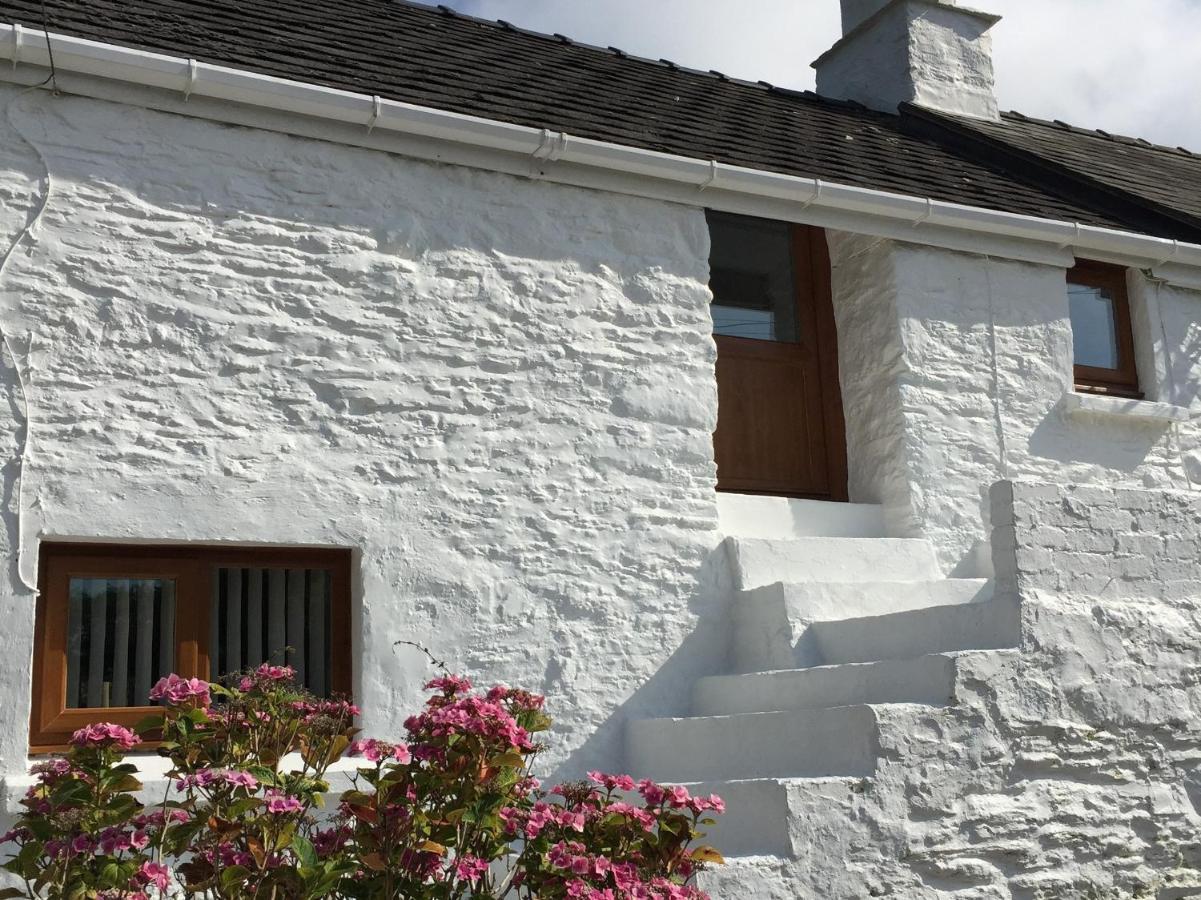 Little Barn Cottage Newport (Pembrokeshire) Exterior foto